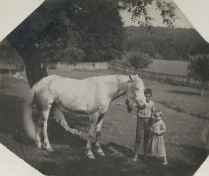 Thomas Eakinsin hevonen Billy ja kaksi Crowell-lasta Avondalessa, Pennsylvaniassa, noin. 1892. tekijältä Thomas Eakins