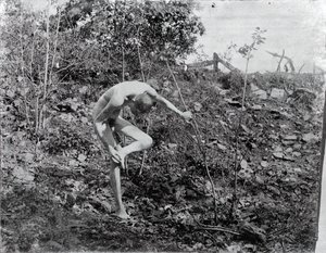 Thorn Puller, c. 1883. tekijältä Thomas Eakins