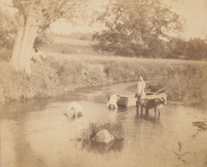 [Kolme lasta ja koira leikkimässä purolla, 4. heinäkuuta 1883], 1883, 1883. tekijältä Thomas Eakins