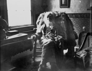 Walt Whitman Camdenissa, New Jerseyssä tekijältä Thomas Eakins