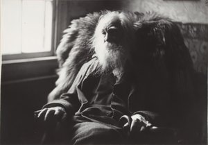 Walt Whitman Camdenissa, N.J., n. 1891. tekijältä Thomas Eakins
