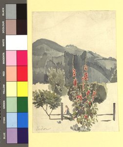 Studie (Landschaft mit Pappelrosen) tekijältä Thomas Ender