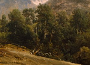 Metsä Romsdalissa