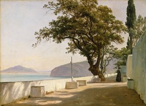 Terassi tammi, Sorrento tekijältä Thomas Fearnley