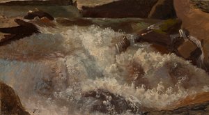 Villi vesi. luontotutkimus tekijältä Thomas Fearnley