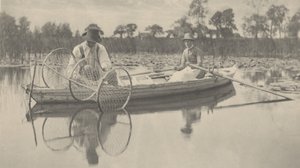 Keulaverkon asettaminen,1886 (kuva)