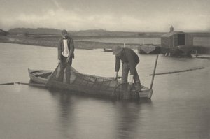 Ankeriasverkkoon tarttuminen,1886 (kuva)