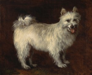 Spitz-koira, koira, n. 1765. tekijältä Thomas Gainsborough