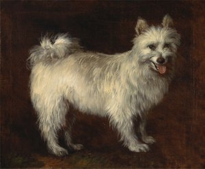 Spitz-koira tekijältä Thomas Gainsborough
