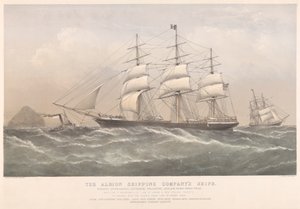 Albion Shipping Companyn alukset (värillinen litografia) tekijältä Thomas Goldsworth Dutton
