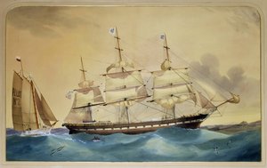 Clipper-purjevene 