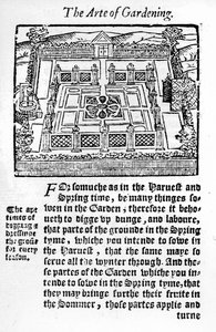 Elisabetin puutarha vuodelta 1568 kannattava puutarhanhoito