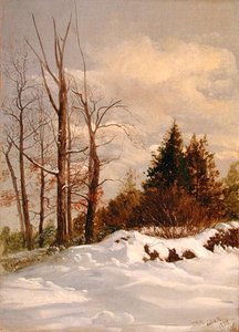 Catskill talvimaisema