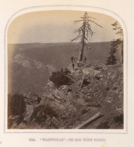"Wahwonah" - tai Big Tree Point