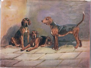 Koirat, kuvitus kirjasta "Hounds"