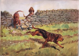 Yli seinän, kuvitus kirjasta "Hounds"