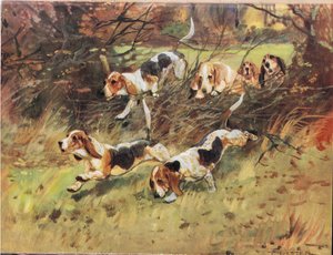 Pensaan läpi, kuva kirjasta "Hounds"