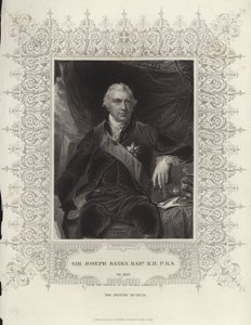 Sir Joseph Banks tekijältä Thomas Lawrence