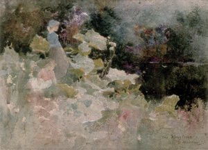 Kingfisher, 1899