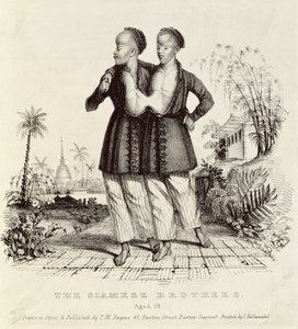 Siamilaiset veljet, 18-vuotiaat, painaja Charles Hullmandel (1789-1850), n. 1829