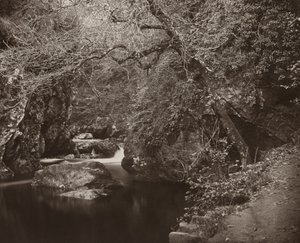 Dargle Hole, n. 1865. tekijältä Thomas Marcus Brownrigg