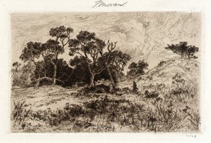 Etelätuuli tekijältä Thomas Moran