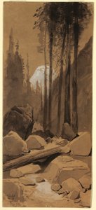 Piirros, Yosemiten laaksossa, 1872 tekijältä Thomas Moran