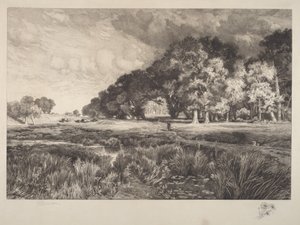 Long Islandin maisema tekijältä Thomas Moran