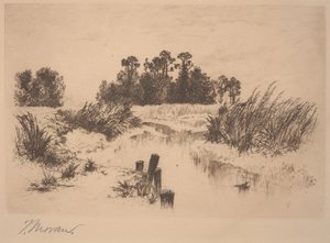 Passaic Meadows (Newark Meadowsissa) tekijältä Thomas Moran