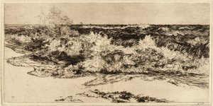 Kohiseva meri tekijältä Thomas Moran