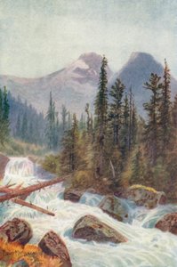 Glacier Crest, Illecillewaet (värilitro)