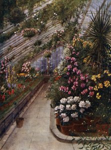 Kew Gardens: The Green House (väri litho)