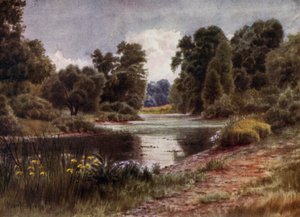 Kew Gardens: Järvi, Etelään katsova (väri litho)