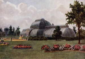 Kew Gardens: Palmutalo (väri litho) tekijältä Thomas Mower Martin