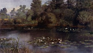 Kew Gardens: Water Lily Pond (väri litho) tekijältä Thomas Mower Martin