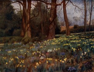 Kew Gardens: Villi puutarha keväällä (väri litho)