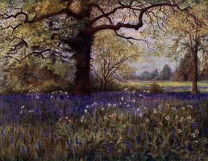 Kew Gardens: Wild Hyasinths (väri litho)