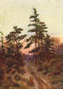 Road near Victoria, ilta (värilitro) tekijältä Thomas Mower Martin