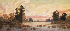  tekijältä Thomas Mower Martin