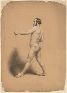 Jousimies, Alastontutkimus