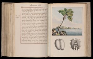 Etiopian Afrikka. Outlines of the Globe