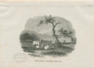 Chartley Hall - Park: puupiirros