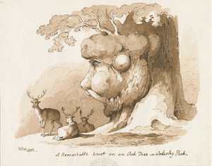 Wolseley Park - Solmu tammessa: tussi- ja seepiapiirros. tekijältä Thomas Peploe Wood