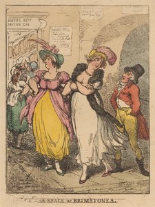 Kaksi sitruunakärpästä tekijältä Thomas Rowlandson