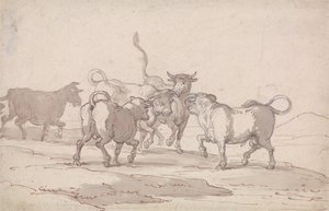 Viiden härän ryhmä, joka on juuri aloittamassa taistelun tekijältä Thomas Rowlandson