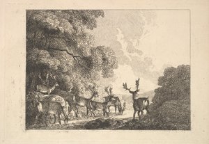A Group of Stags Drinking, 1784-88. tekijältä Thomas Rowlandson