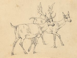 Álbum DrawingFinnish tekijältä Thomas Rowlandson