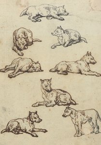 Albumin piirros tekijältä Thomas Rowlandson