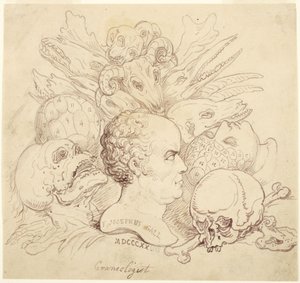 F. Josephus Gall, kranologi tekijältä Thomas Rowlandson