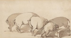Siat ruokintakaukalossa tekijältä Thomas Rowlandson
